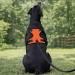 Load image into Gallery viewer, Monogram Pooch Harness
