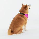 Load image into Gallery viewer, Proper Pooch Monogram Bandana
