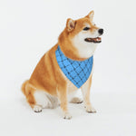 Load image into Gallery viewer, Preppy Pooch Monogram Bandana
