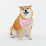Load image into Gallery viewer, Proper Pooch Royal Collection
