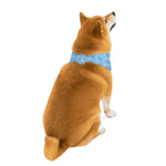 Load image into Gallery viewer, Proper Pooch Monogram Bandana
