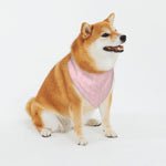 Load image into Gallery viewer, Proper Pooch Royal Collection
