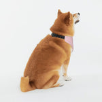 Load image into Gallery viewer, Proper Pooch Royal Collection
