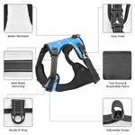 Load image into Gallery viewer, Proper Pooch Monogram Harness
