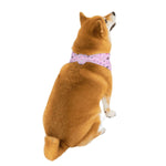 Load image into Gallery viewer, Pooch Bandana Signature Pink
