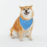 Load image into Gallery viewer, Preppy Pooch Monogram Bandana
