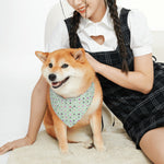 Load image into Gallery viewer, Proper Pooch Signature Bandana
