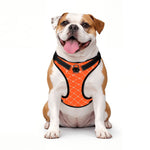 Load image into Gallery viewer, Monogram Pooch Harness
