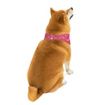 Load image into Gallery viewer, Proper Pooch Bandana Signature Collection
