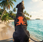 Load image into Gallery viewer, Monogram Pooch Harness
