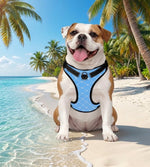 Load image into Gallery viewer, Proper Pooch Monogram Harness
