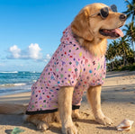 Load image into Gallery viewer, Proper Pooch Hoodie Signature NK Collection
