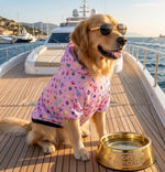 Load image into Gallery viewer, Proper Pooch Hoodie Signature
