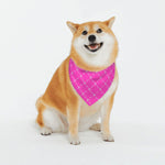 Load image into Gallery viewer, Proper Pooch Monogram Bandana
