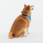 Load image into Gallery viewer, Preppy Pooch Monogram Bandana
