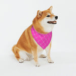 Load image into Gallery viewer, Proper Pooch Monogram Bandana
