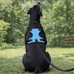 Load image into Gallery viewer, Proper Pooch Monogram Harness
