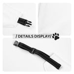 Load image into Gallery viewer, Preppy Pooch Monogram Bandana
