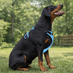 Load image into Gallery viewer, Proper Pooch Monogram Harness
