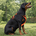 Load image into Gallery viewer, Monogram Pooch Harness
