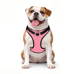 Load image into Gallery viewer, Monogram Pooch in Pink
