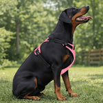 Load image into Gallery viewer, Monogram Pooch in Pink
