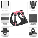 Load image into Gallery viewer, Monogram Pooch in Pink
